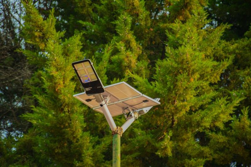 إضاءة LED على شكل زهرة اللوتس